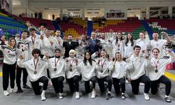 Taekwondo'da Şampiyonası'nda altın madalya